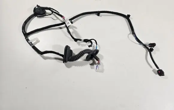 Tesla Model 3 Rear door wiring loom 206796500B
