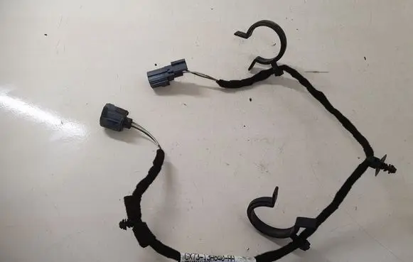 Other wiring loom