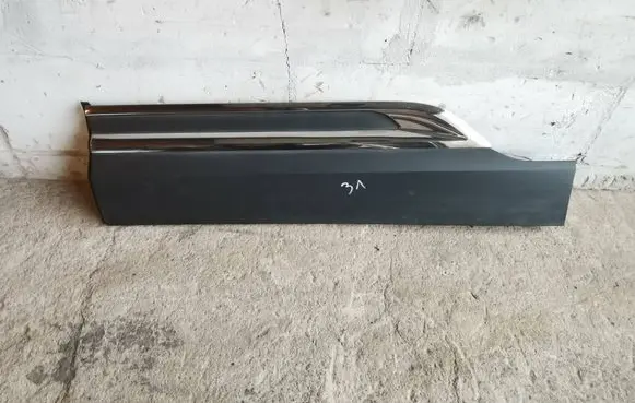 Rear door trim (molding)
