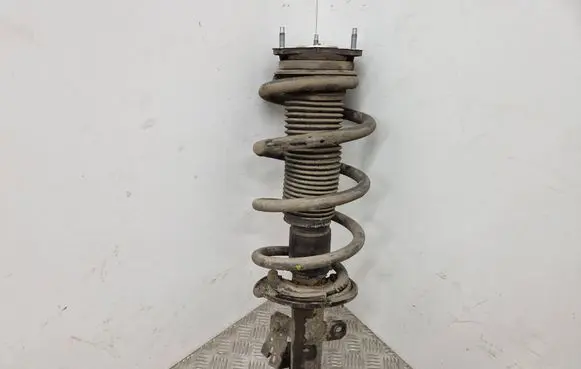 Ford Transit Custom Front shock absorber with coil spring 