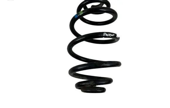 Volkswagen PASSAT B5.5 Rear coil spring