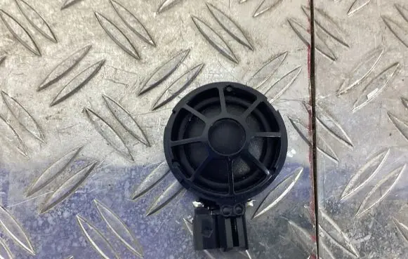 Front door high frequency speaker