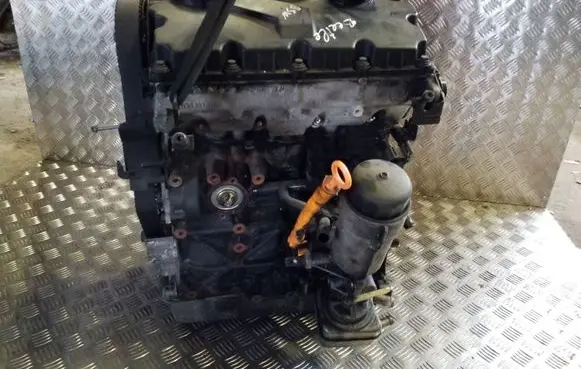 Volkswagen New Beetle Engine BSW
