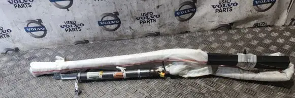 Dodge RAM 1500 DS Roof airbag P68161578AJ