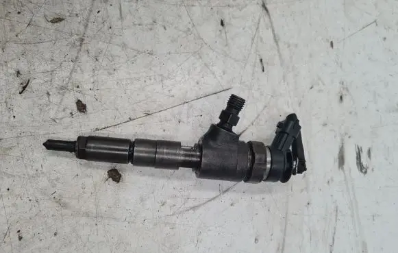 Citroen C3 Fuel injector 0445110075 9641496180