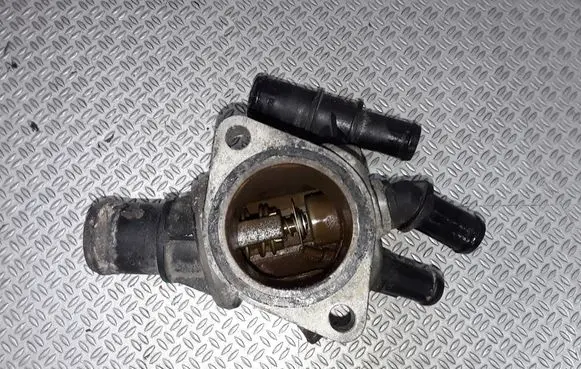 Thermostat/thermostat housing