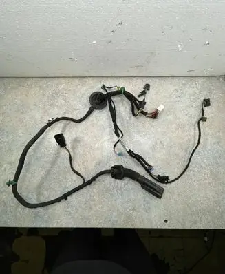 Front door wiring loom