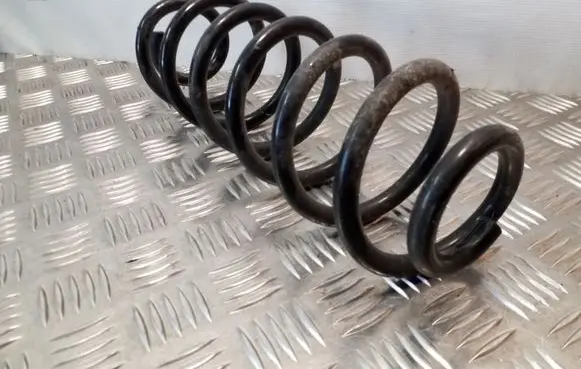 Rear coil spring