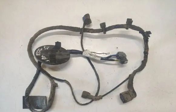 Other wiring loom