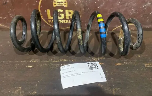 Rear coil spring