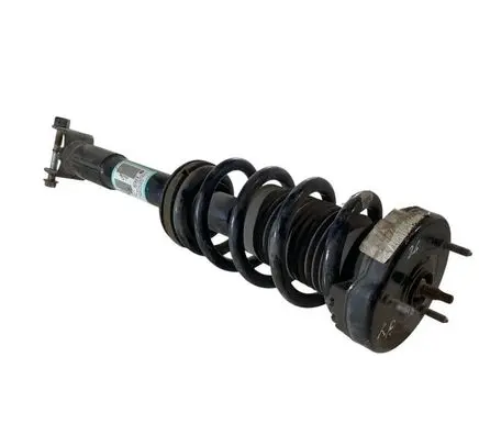 Dodge Challenger Front shock absorber with coil spring 68079071AD P68079071AD 52830