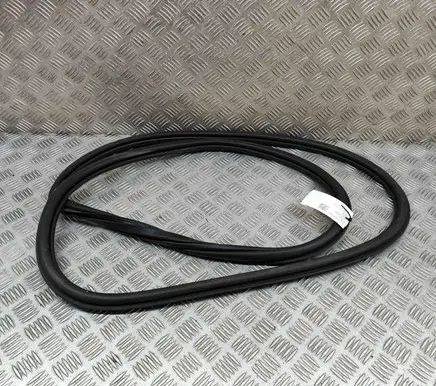 Skoda Scala Rubber seal front coupe door 657867365B