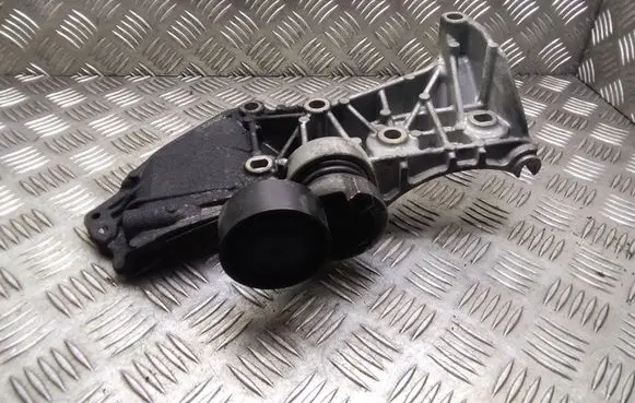 Nissan Qashqai Generator/alternator bracket 8200669495