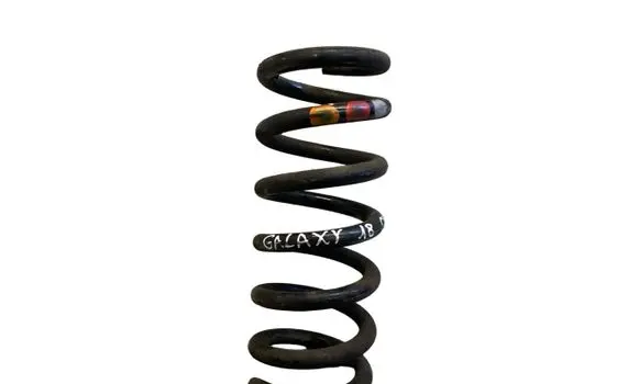 Rear coil spring