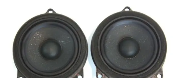 BMW X3 G01 Panel speaker 6809629 65136809629