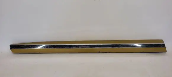 Volkswagen Arteon Front door trim (molding) 