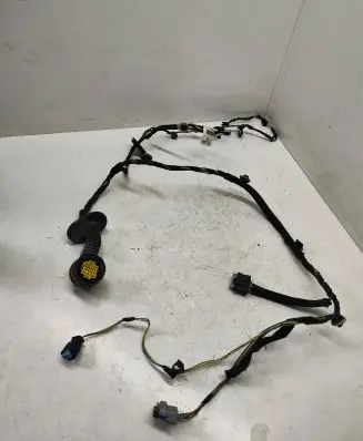 Rear door wiring loom