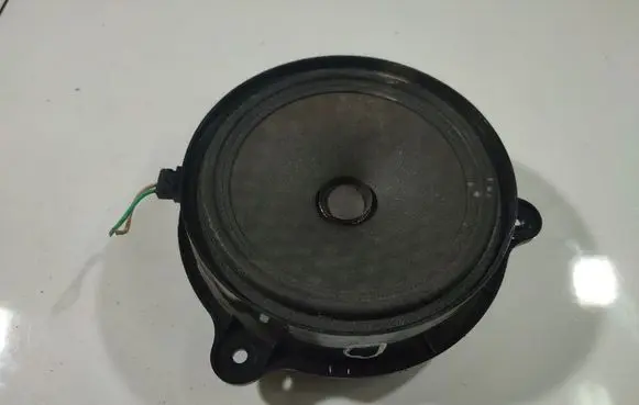 Renault Laguna III Front door speaker 10811801