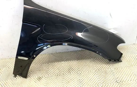 Fender