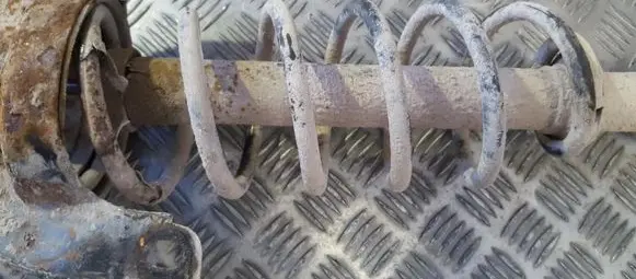 Rear coil spring