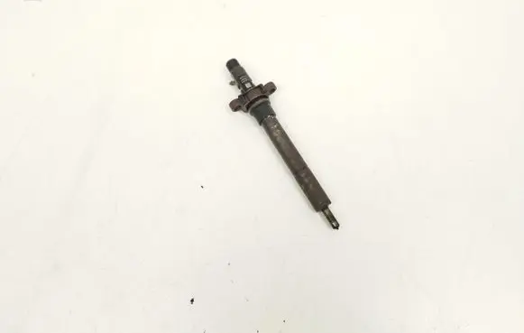 Citroen C5 Fuel injector 9688438580 EJBR06001D