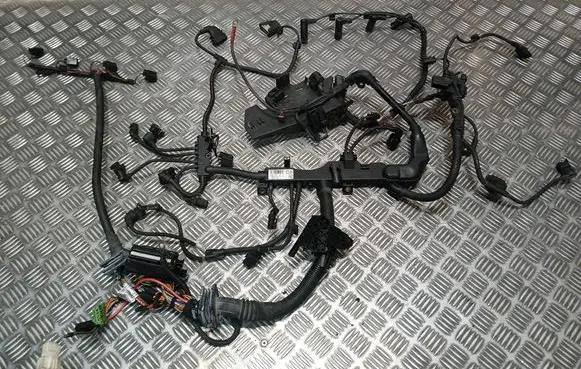 BMW 1 E81 E87 Engine installation wiring loom 780216306 E5565W1 000851