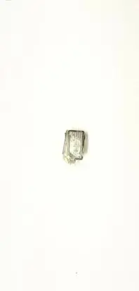 Audi A4 S4 B9 Front door handle light (exterior) 8W0947134
