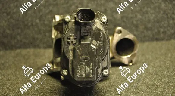 Volkswagen Amarok EGR valve 10011289