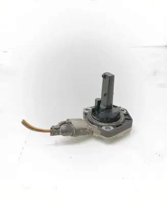 Volkswagen Golf IV Oil level sensor 6PR008079