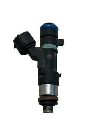 Renault Koleos I Fuel injector 16600JA000