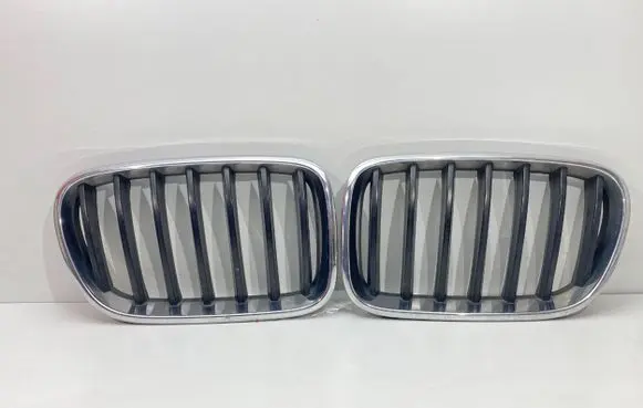 BMW X3 F25 Front grill 72107257210726