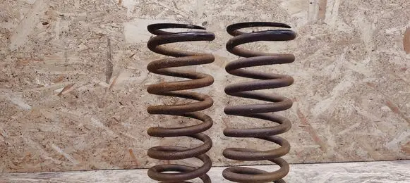 Rear coil spring
