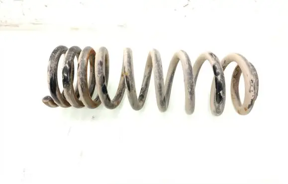 Rear coil spring