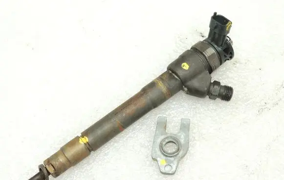 Renault Espace V (RFC) Fuel injector 166000804R 0445110569