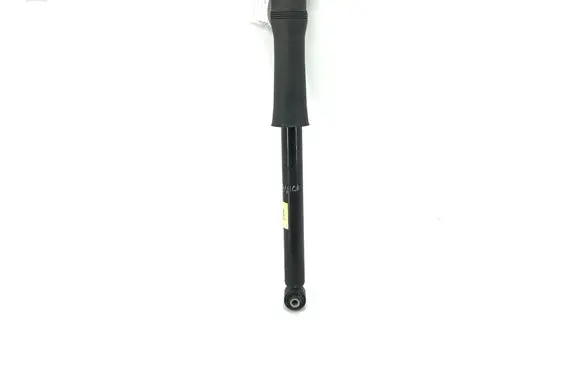Buick Encore GX I Rear shock absorber/damper 60005110
