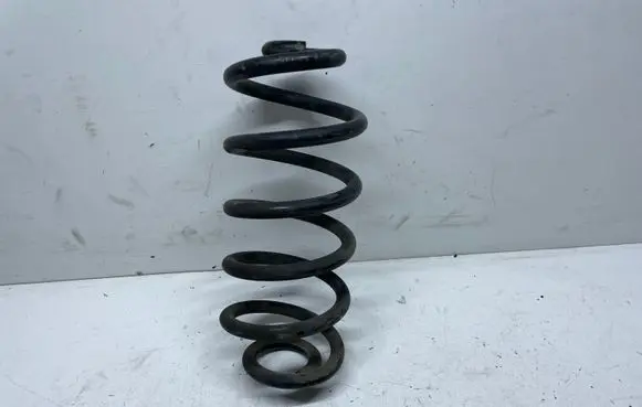 BMW X6 E71 Rear coil spring