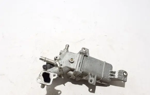 Renault Trafic III (X82) EGR valve cooler 147355224R