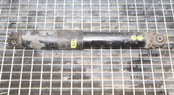 Chevrolet Captiva Rear shock absorber/damper 25995943