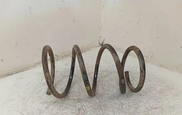 Front coil spring