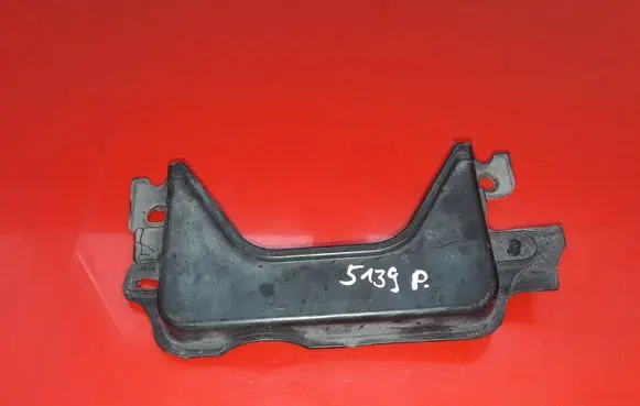 Engine bonnet/hood lock trim molding