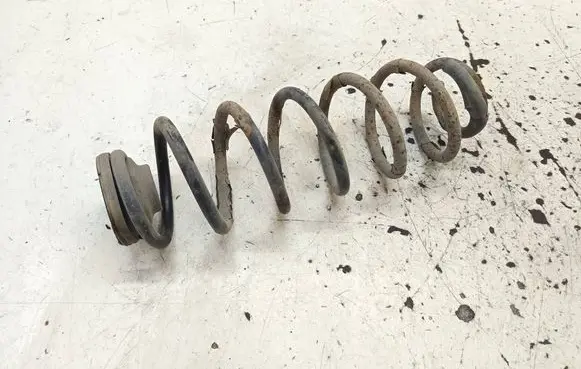 Rear coil spring