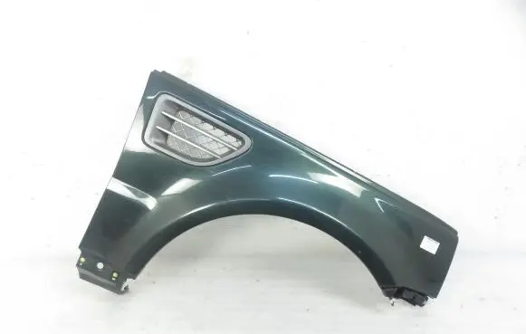 Ford Fiesta Fender