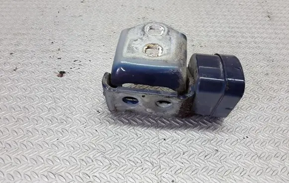 Renault Megane II Rear door lower hinge