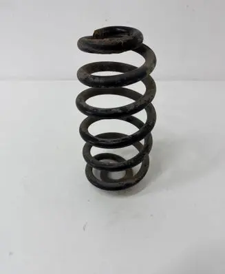 Rear coil spring