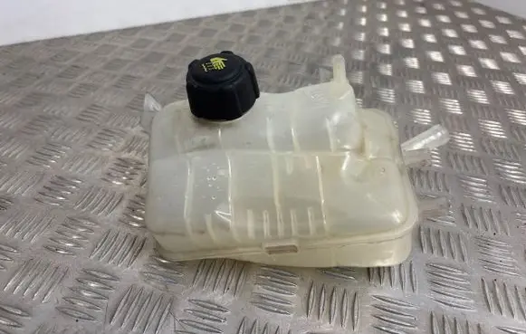 Renault Scenic III - Grand scenic III Coolant expansion tank/reservoir 217100005R