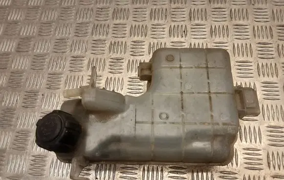 Renault Espace - Grand espace IV Coolant expansion tank/reservoir 8200339746