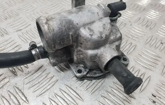 Thermostat/thermostat housing