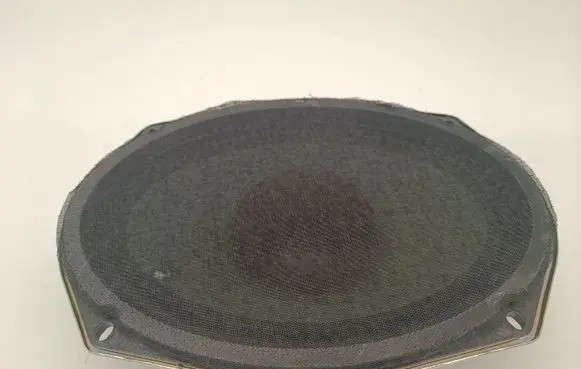 Chrysler Pacifica Front door speaker 05091019AB