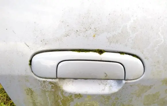 Mazda Premacy Front door exterior handle
