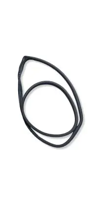 Hyundai Ioniq Rear door rubber seal (on body) 